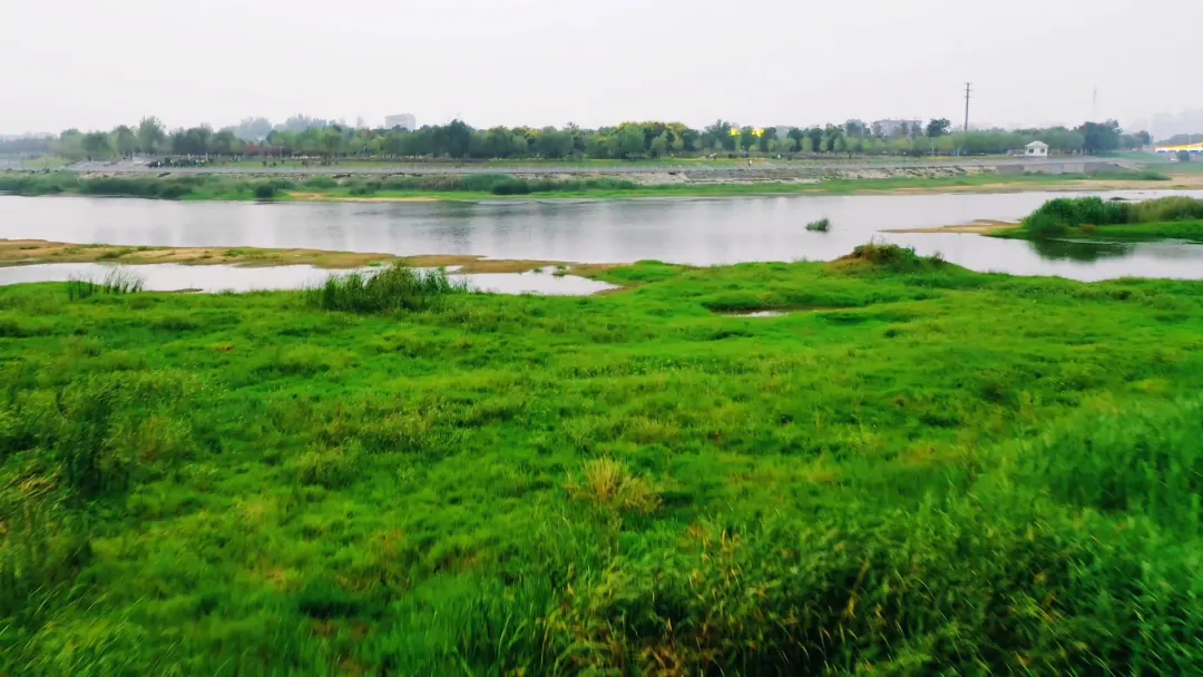 每到傍晚，這個地方的景色很夢幻...