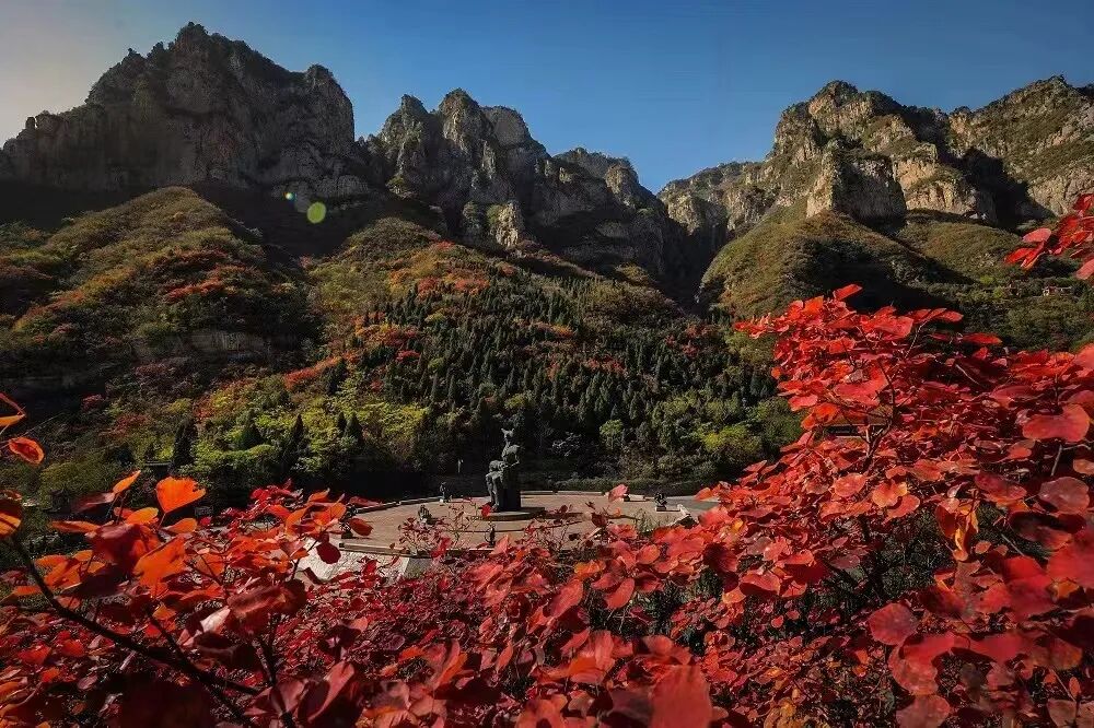 免票!河南這些景區(qū)推出教師專屬福利→