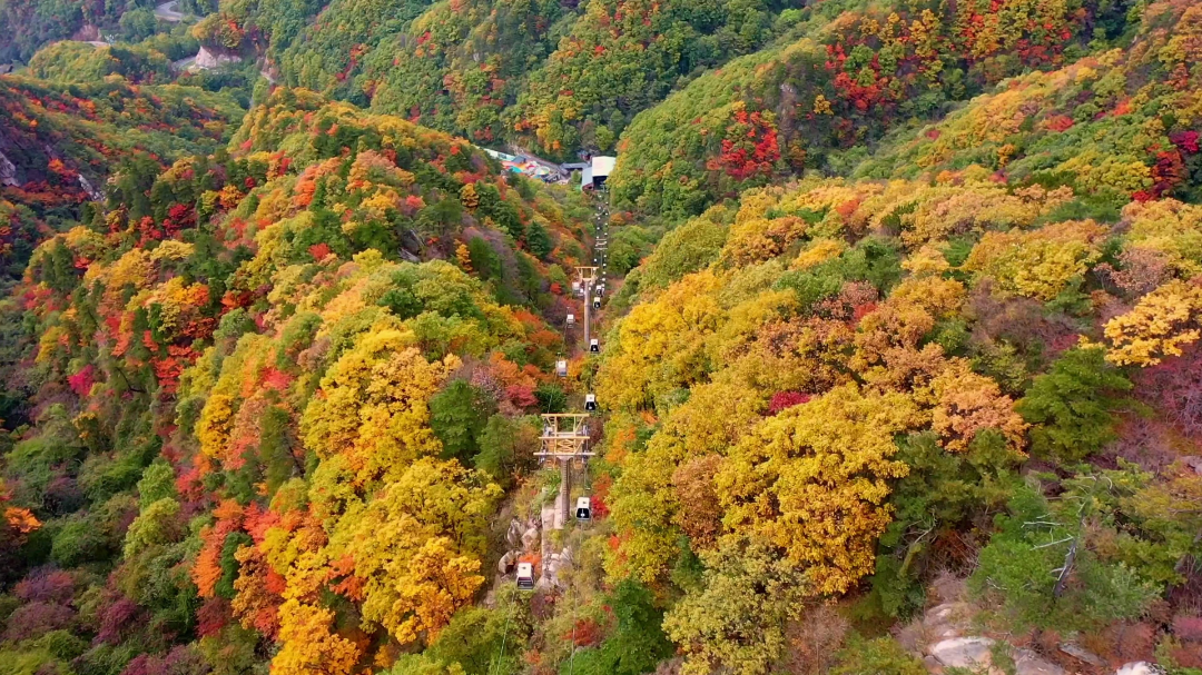 免票!河南這些景區(qū)推出教師專屬福利→