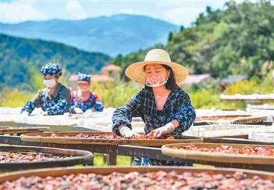 多地推介秋季旅游產品——“您有一份秋游攻略待查收”