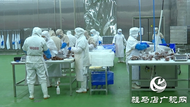 河南恒都食品：開足馬力趕訂單 奮戰(zhàn)三季度促增長