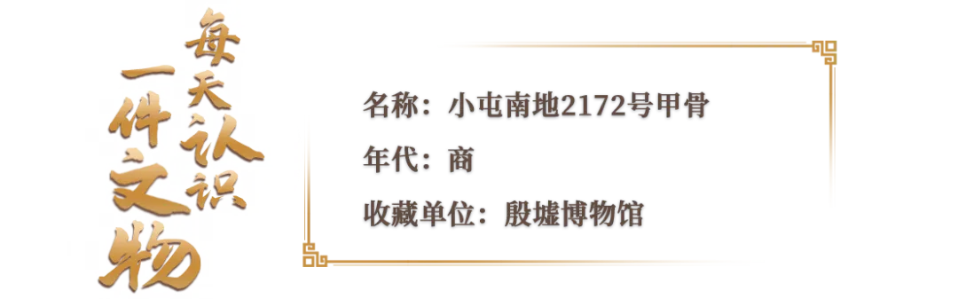 文博日歷丨透過這片“明星甲骨”，一起尋找漢字的源頭！