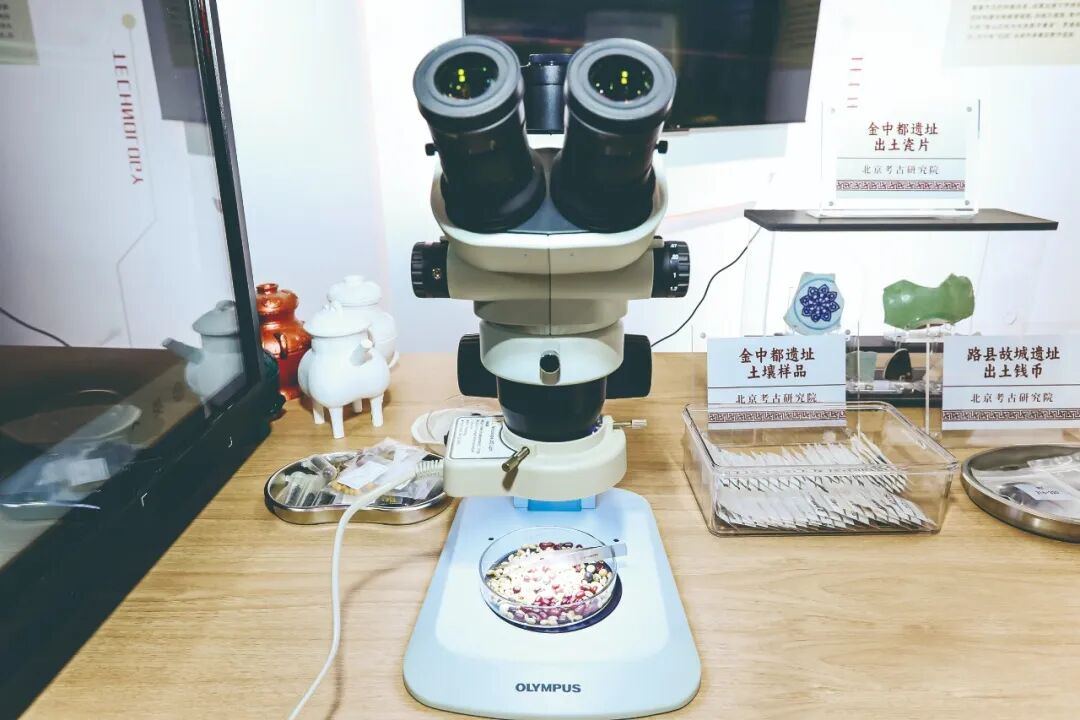 科技賦能·智匯文博——2025服貿(mào)會文博展區(qū)打造智慧文化體驗(yàn)新場景