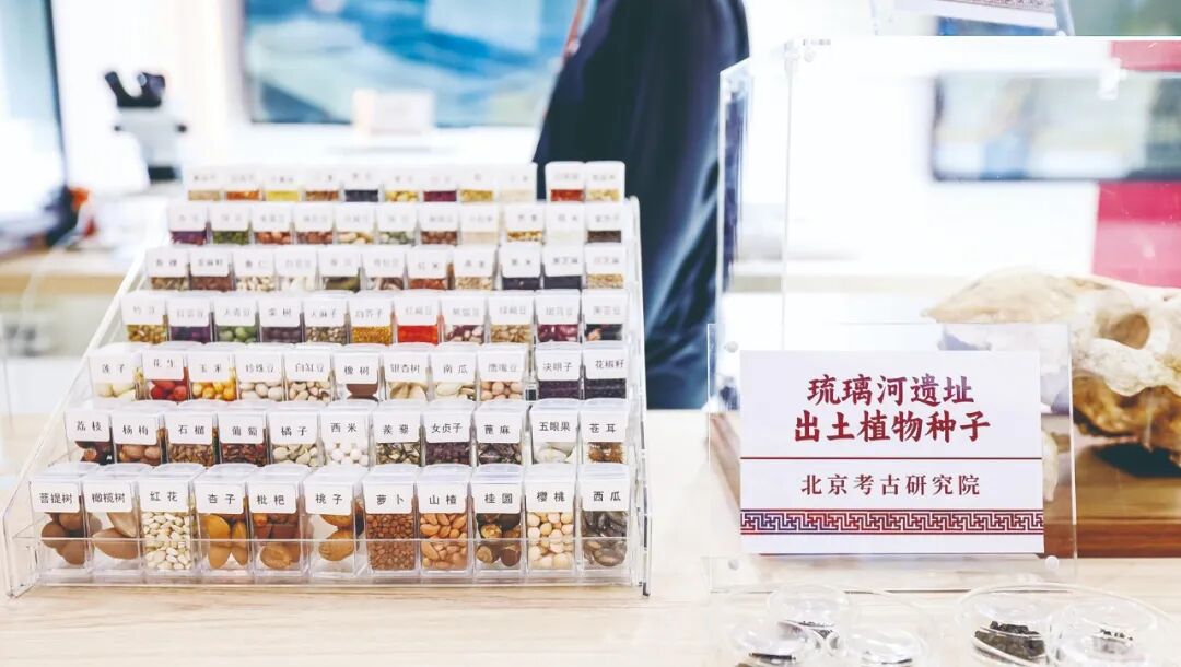 科技賦能·智匯文博——2025服貿(mào)會文博展區(qū)打造智慧文化體驗(yàn)新場景