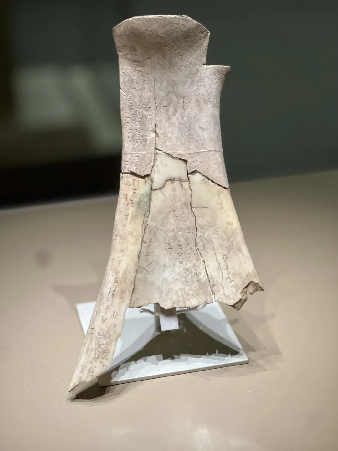 文博日歷丨透過這片“明星甲骨”，一起尋找漢字的源頭！