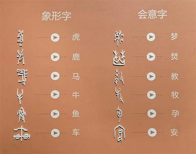 文博日歷丨透過這片“明星甲骨”，一起尋找漢字的源頭！