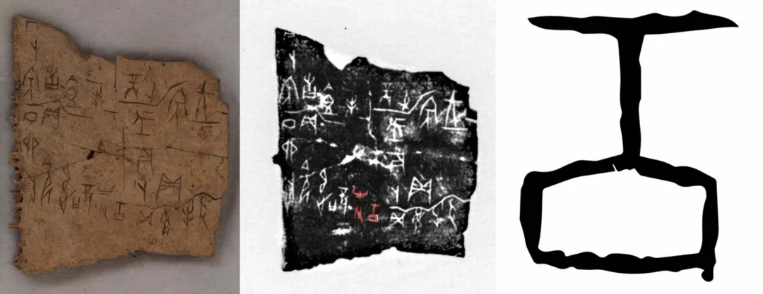 文博日歷丨透過這片“明星甲骨”，一起尋找漢字的源頭！