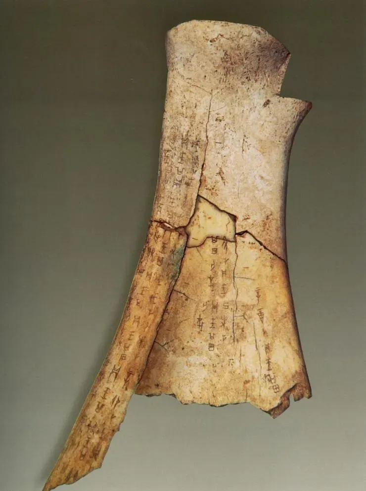 文博日歷丨透過這片“明星甲骨”，一起尋找漢字的源頭！