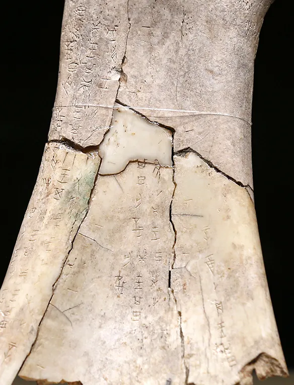 文博日歷丨透過這片“明星甲骨”，一起尋找漢字的源頭！