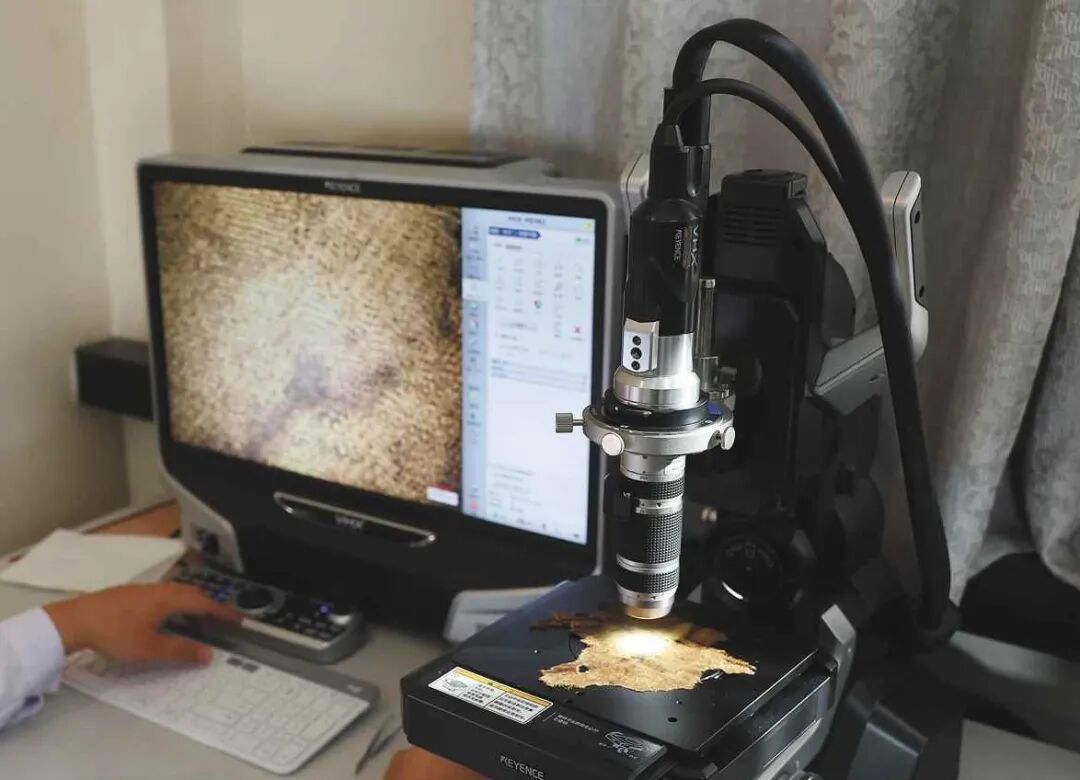 文博日歷丨三種文化符號“同框” 見證跨越千年的絲綢之路