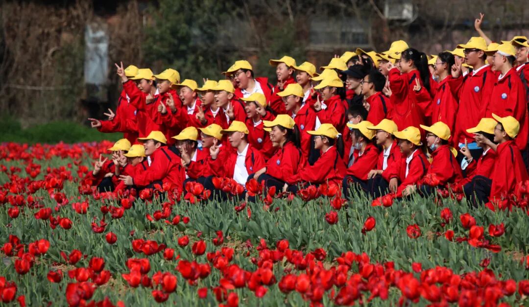 線上展｜銘記烽火鑄忠魂 藝韻傳薪頌英雄——駐馬店市紀念抗戰勝利80周年、楊靖宇將軍誕辰120周年美術書法攝影藝術展（五）