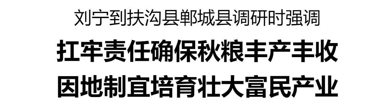 劉寧到扶溝縣鄲城縣調研