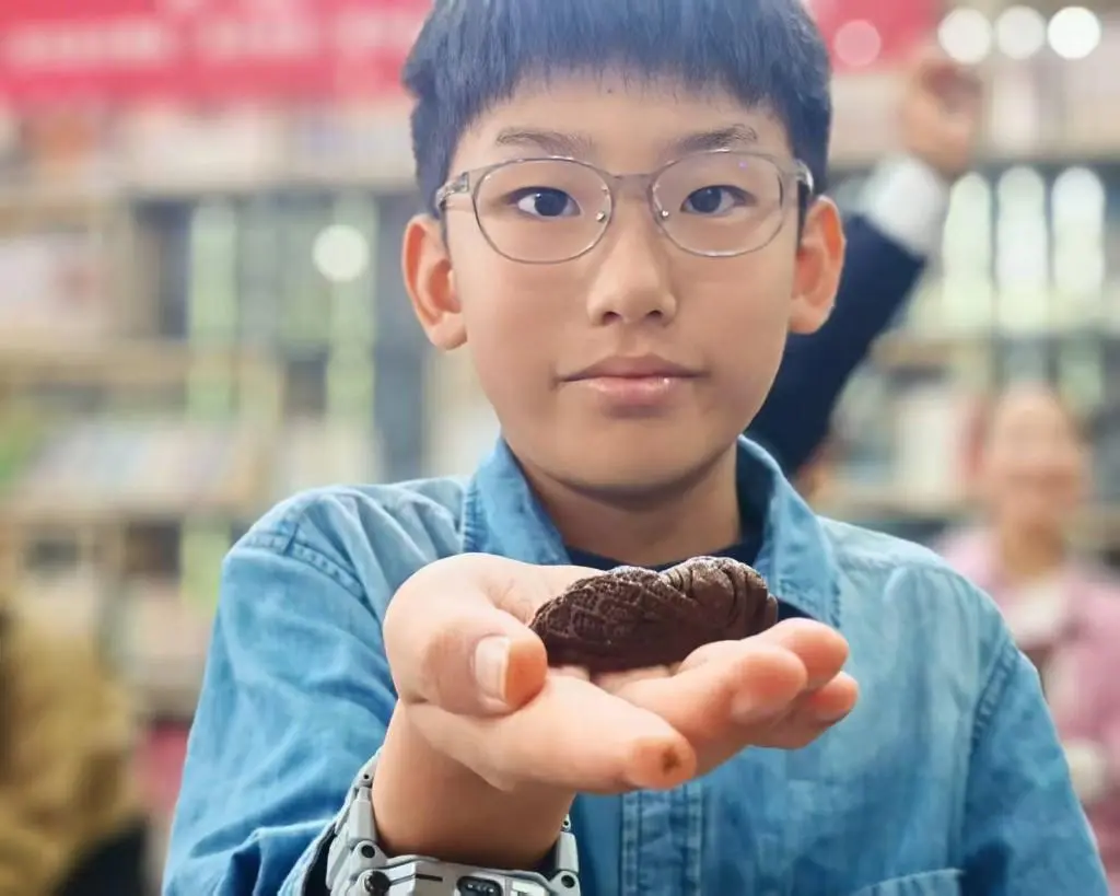 探秘非遺蓍草 傳承天中文脈 | 駐馬店市圖書館舉辦非遺蓍草手工制作活動