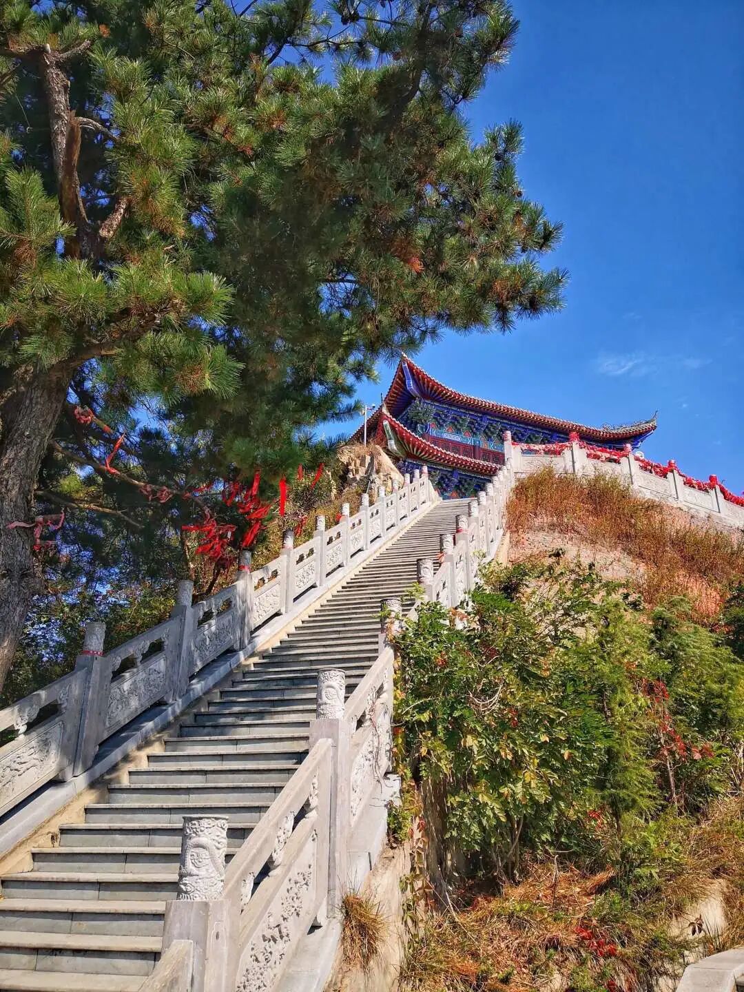 秋日漫步：橙紅橘綠時的詩意畫卷