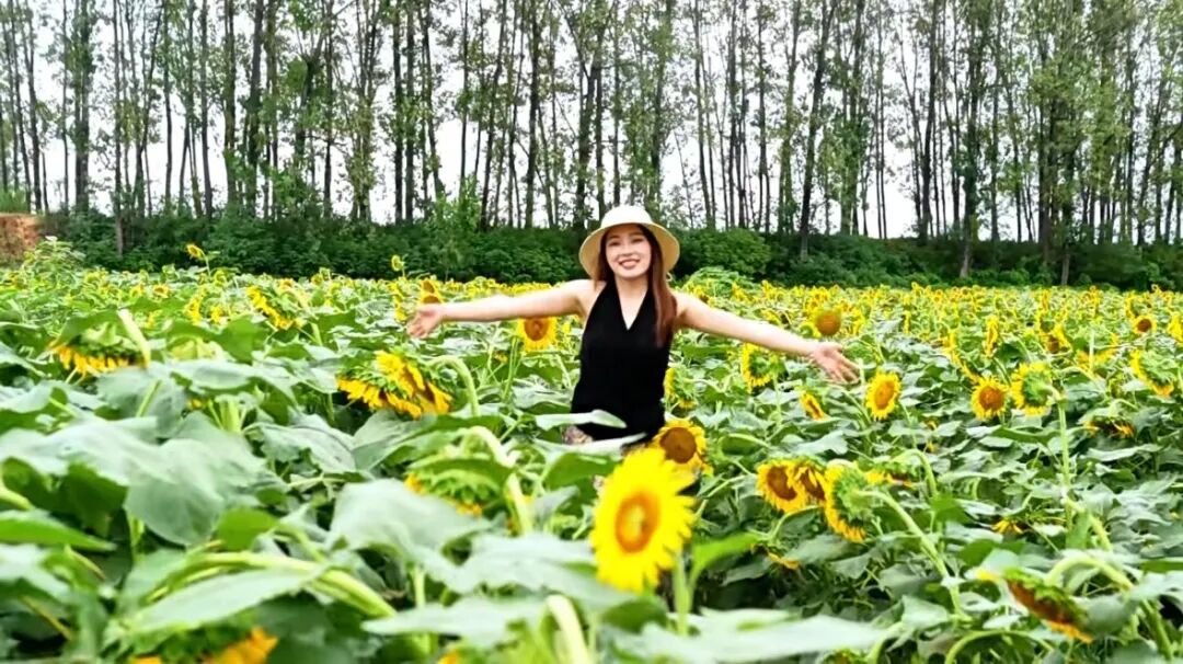 秋日漫步：橙紅橘綠時的詩意畫卷