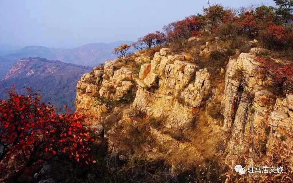 秋日漫步：橙紅橘綠時的詩意畫卷