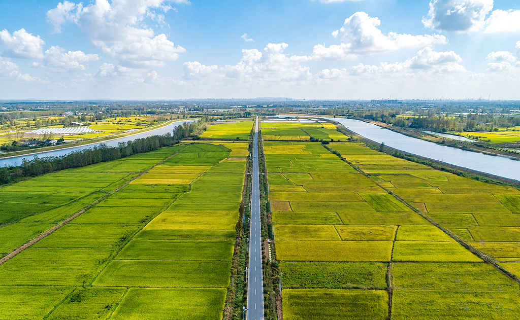 涉及民航鐵路客運發票、金融服務 10月起一批新規將施行
