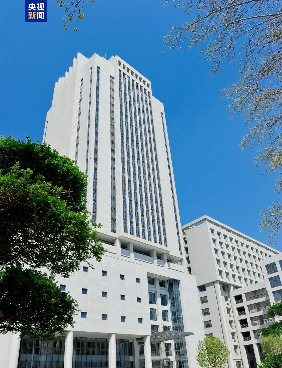 文博日歷丨山東大學收藏的這兩只小鳥 已經飛了2800多年