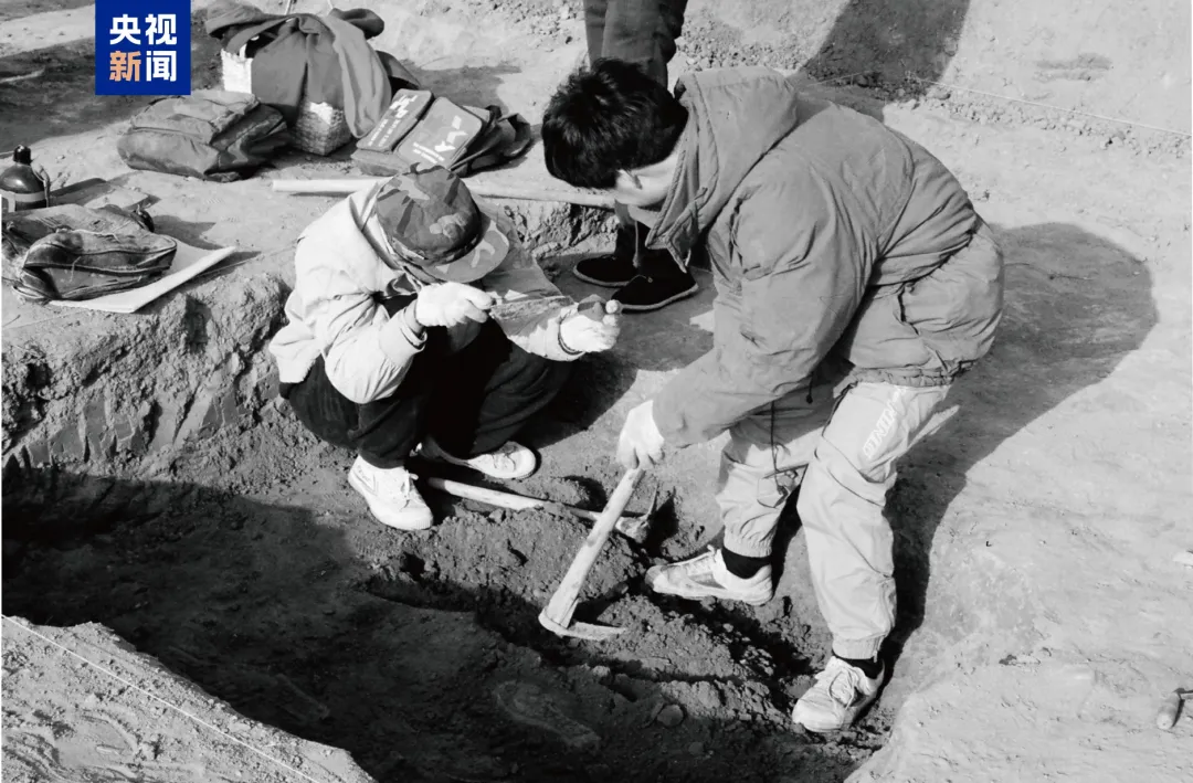 文博日歷丨山東大學收藏的這兩只小鳥 已經飛了2800多年