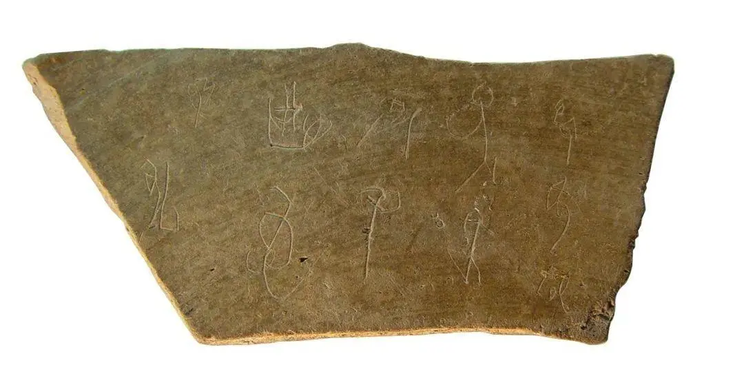 文博日歷丨山東大學收藏的這兩只小鳥 已經飛了2800多年