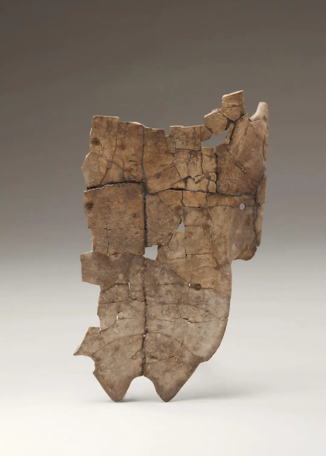 文博日歷丨山東大學收藏的這兩只小鳥 已經飛了2800多年