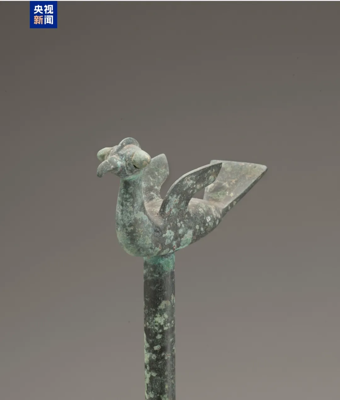 文博日歷丨山東大學收藏的這兩只小鳥 已經飛了2800多年