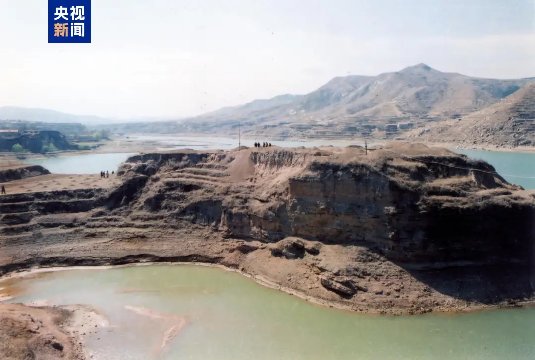 文博日歷丨山東大學收藏的這兩只小鳥 已經飛了2800多年