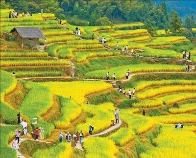 文旅場景上新 消費活力煥新