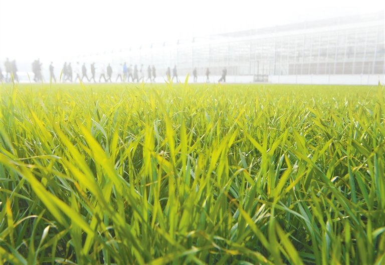 河南瞄準(zhǔn)&ldquo;四強(qiáng)二高&rdquo; 建設(shè)農(nóng)業(yè)強(qiáng)省可這樣破局