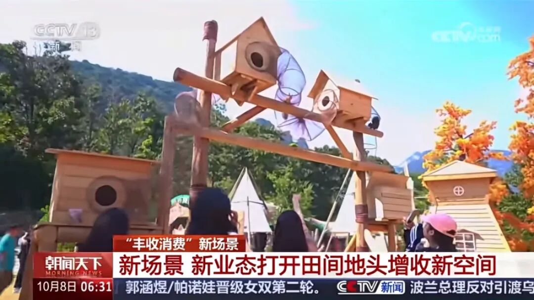 人民日?qǐng)?bào)、央視聚焦60余次！