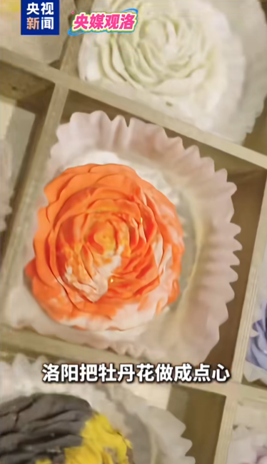 人民日?qǐng)?bào)、央視聚焦60余次！