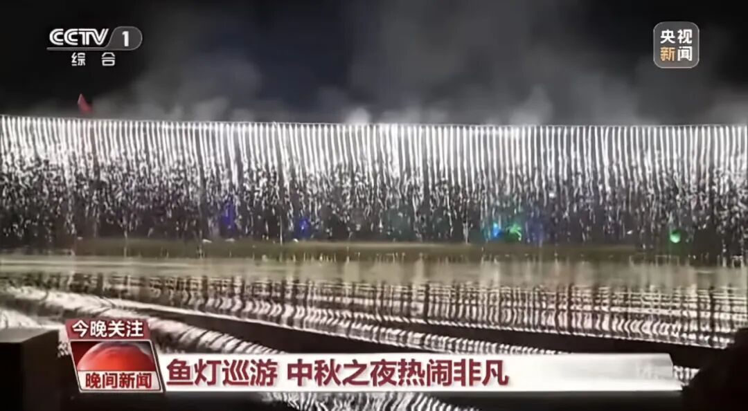 人民日?qǐng)?bào)、央視聚焦60余次！