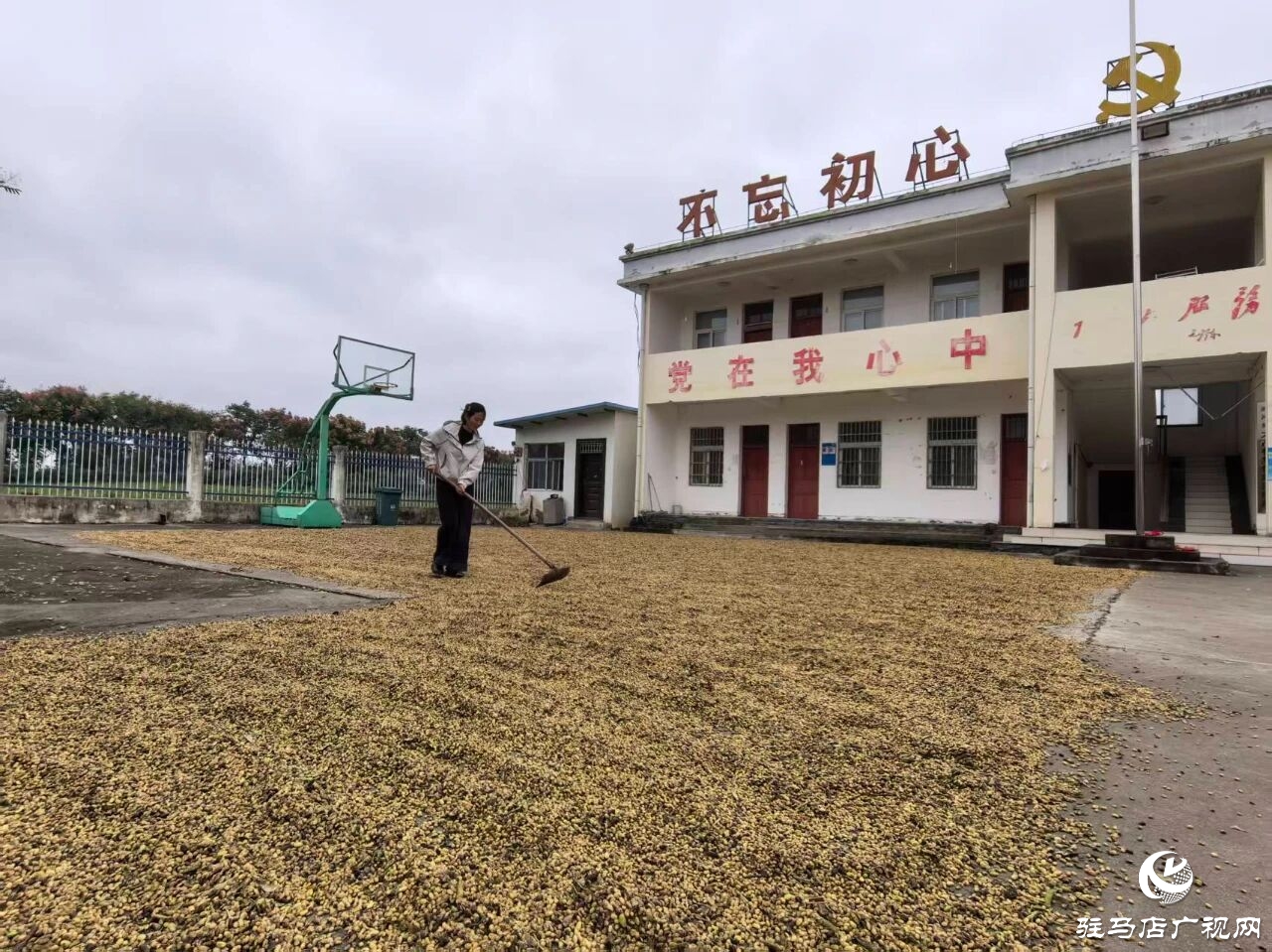 正陽縣閭河鄉:扛牢糧食安全責任??全力護航“三秋”生產