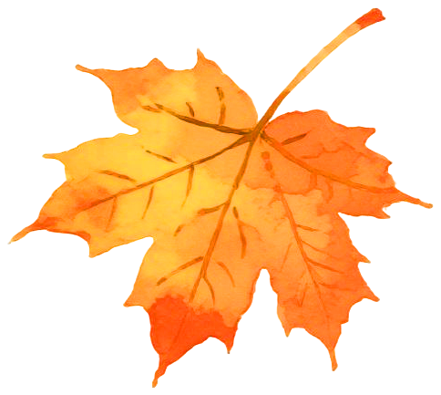 “尋驛天中劇本游”國慶特別篇——廣受游客追捧