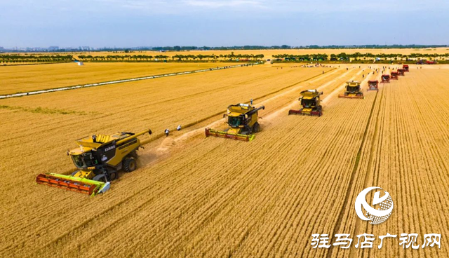 駐馬店:“十四五”???????農(nóng)業(yè)農(nóng)村現(xiàn)代化扎實(shí)推進(jìn) 鄉(xiāng)村振興邁出堅(jiān)實(shí)步伐?