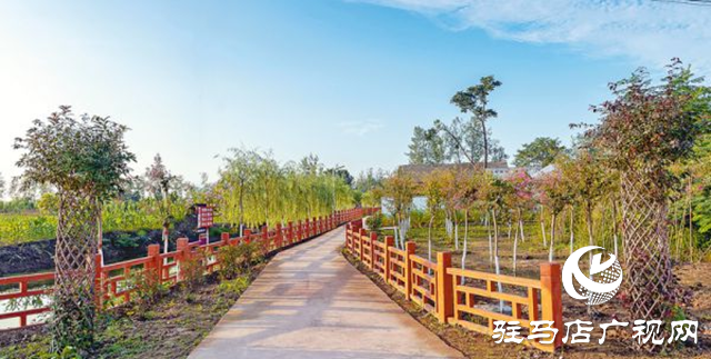 駐馬店:“十四五”???????農(nóng)業(yè)農(nóng)村現(xiàn)代化扎實(shí)推進(jìn) 鄉(xiāng)村振興邁出堅(jiān)實(shí)步伐?