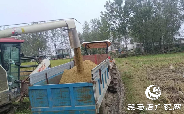 正陽縣大林鎮:多措并舉破解生產難題 保障“三秋”工作高效推進?