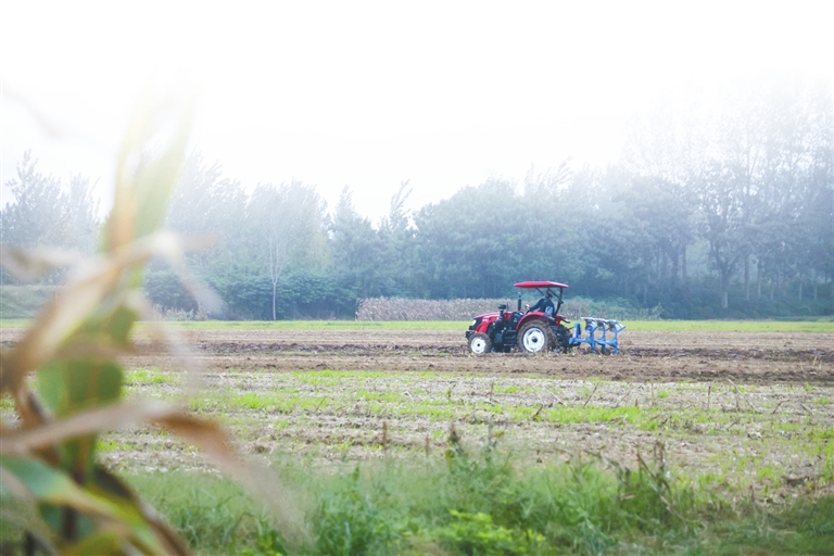 河南省糧食作物收獲已過八成 已制定小麥晚播技術方案