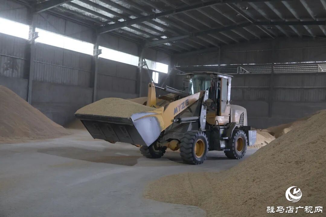 正陽縣：稻谷烘干 快馬加鞭