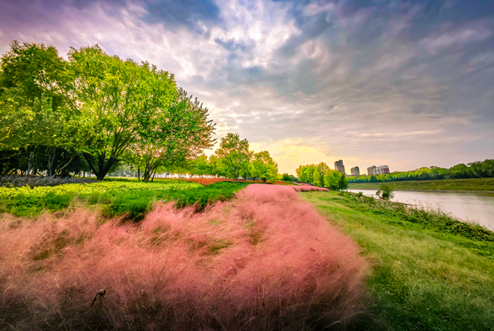 縣區(qū)動(dòng)態(tài)｜草木知秋意 斑斕繪彩卷