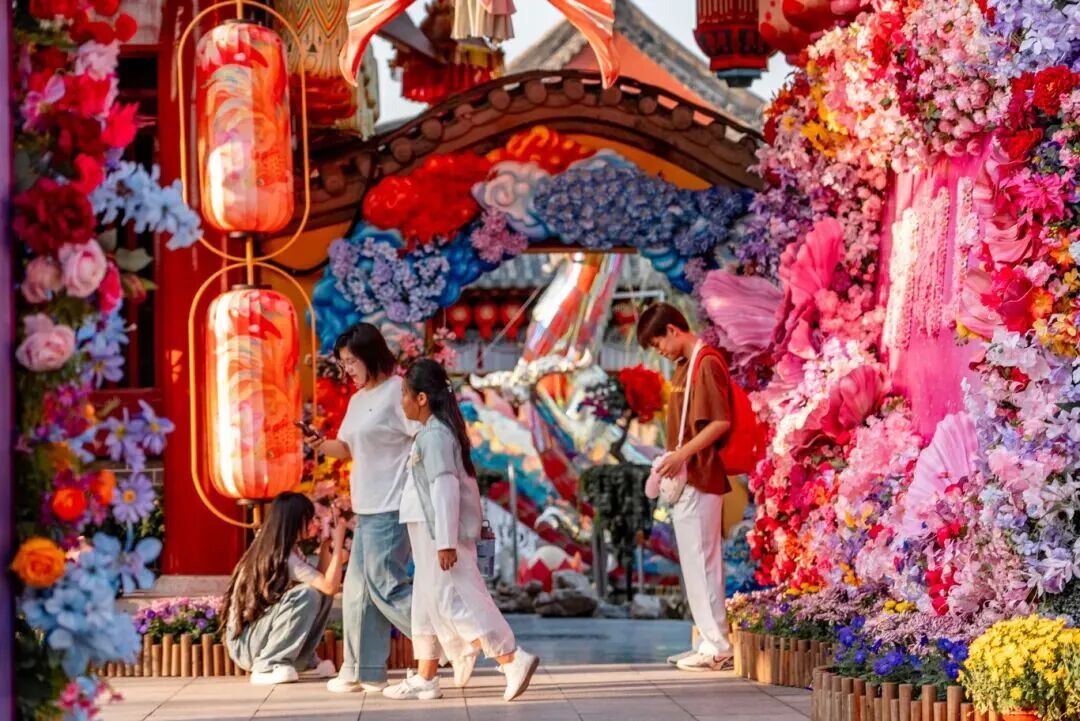 有一種浪漫，叫汴菊！