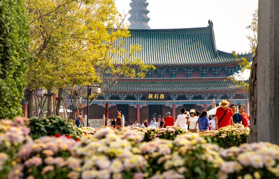 有一種浪漫，叫汴菊！