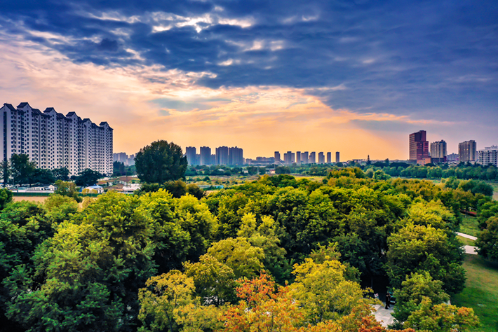 縣區(qū)動(dòng)態(tài)｜草木知秋意 斑斕繪彩卷