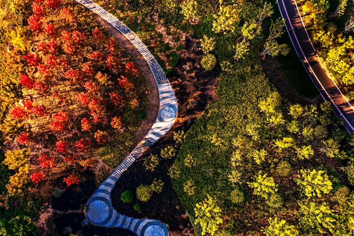 縣區(qū)動(dòng)態(tài)｜草木知秋意 斑斕繪彩卷