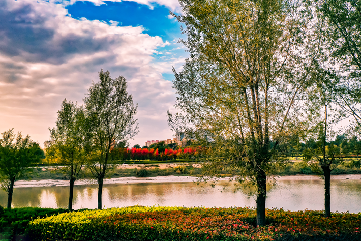 縣區(qū)動(dòng)態(tài)｜草木知秋意 斑斕繪彩卷