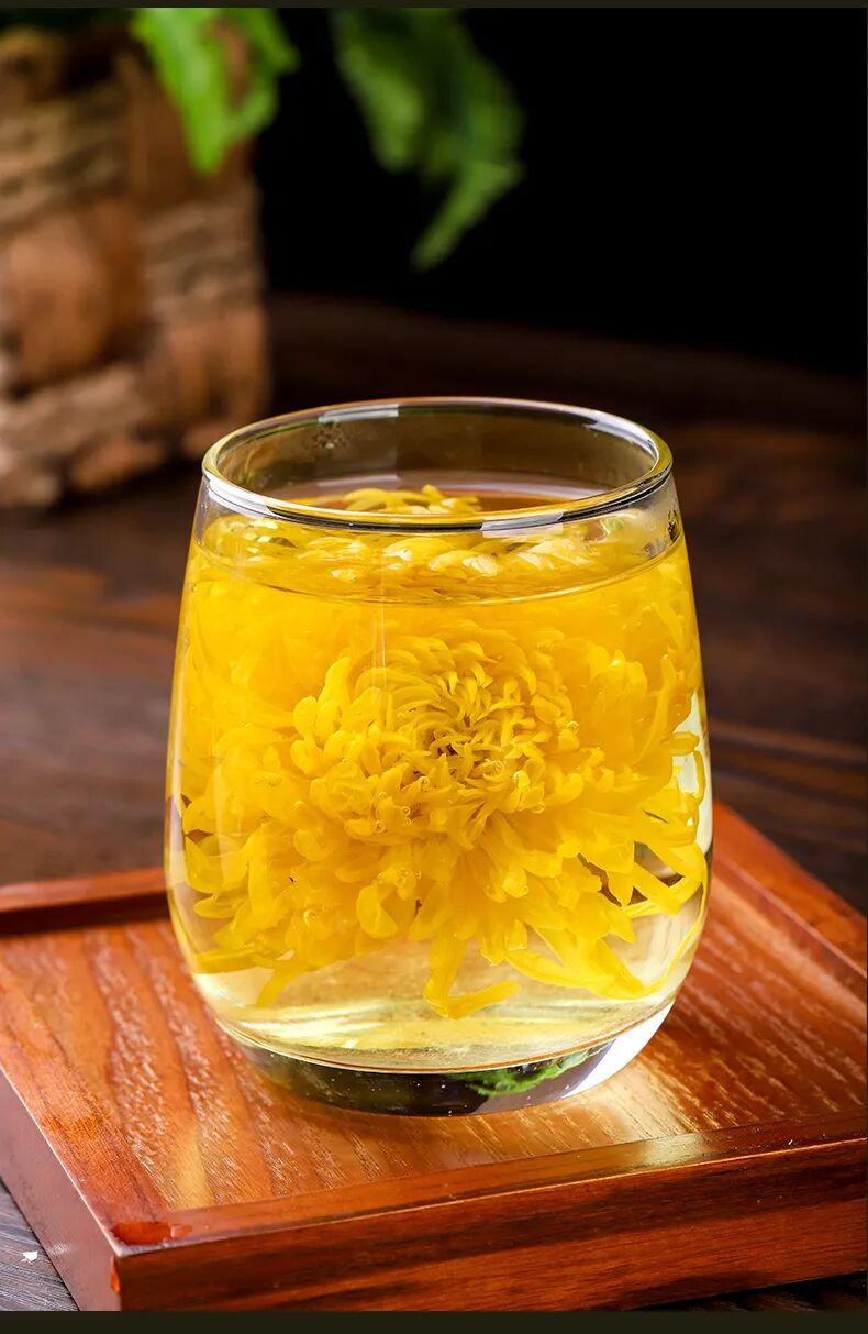 有一種浪漫，叫汴菊！