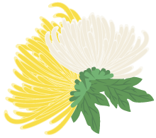 有一種浪漫，叫汴菊！