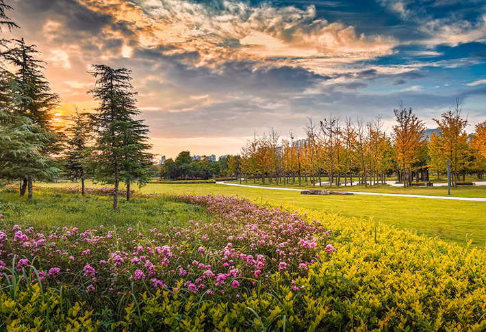 縣區(qū)動(dòng)態(tài)｜草木知秋意 斑斕繪彩卷
