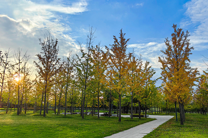 縣區(qū)動(dòng)態(tài)｜草木知秋意 斑斕繪彩卷