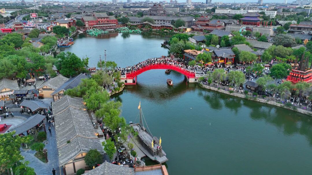 有一種浪漫，叫汴菊！